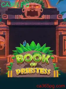 Explorando o Fascinante Mundo de BookOfPriestess