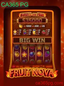Descubra o Mundo Vibrante de FruitNova com a CA365 PG