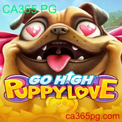 Descobrindo o Mundo de GoHighPuppyLove: Um Guia Completo